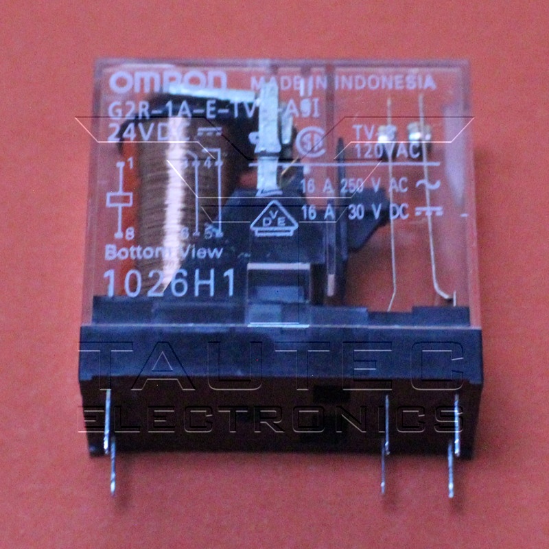 G2R-1A-E-TV8-ASI-DC24