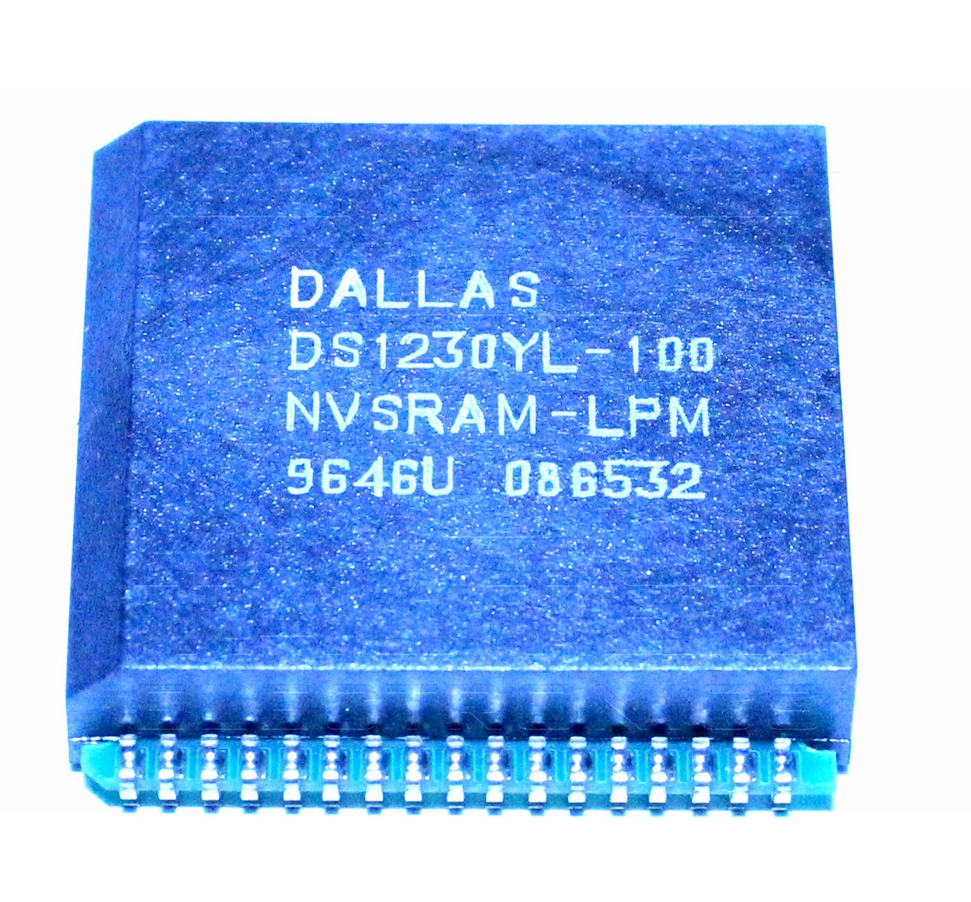 DS1230YL-100